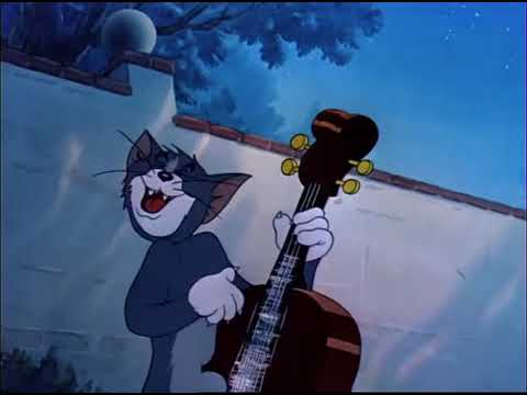 Tom and Jerry cartoon episode 66 - Smitten Kitten 1952 - Funny animals cartoons for kids