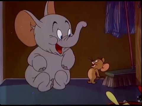 Tom and Jerry cartoon episode 74 - Jerry and Jumbo 1951 - Funny animals cartoons for kids