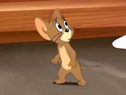 Tom and Jerry Cat Got Your Luggage 2006