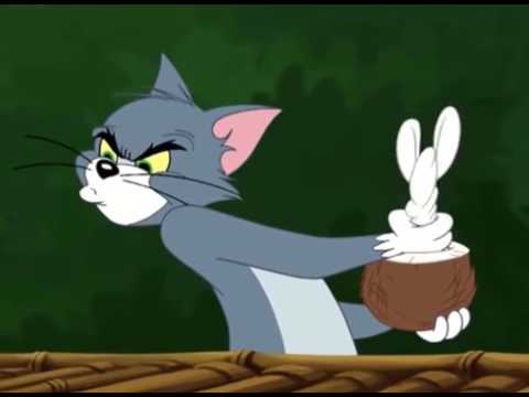 Tom and Jerry Din O Sores 2006