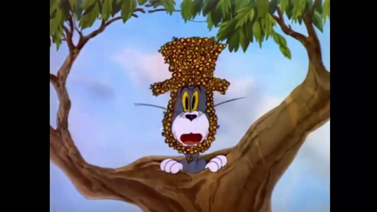 Tom And Jerry English Episodes   Tee for Two