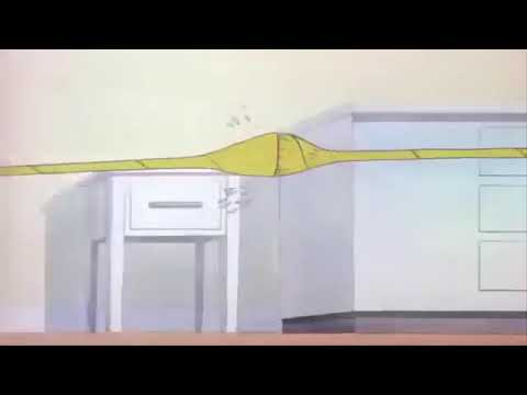 Tom and Jerry full episodes | The Milky Waif (1946) Part 2/2-[ Episode 35