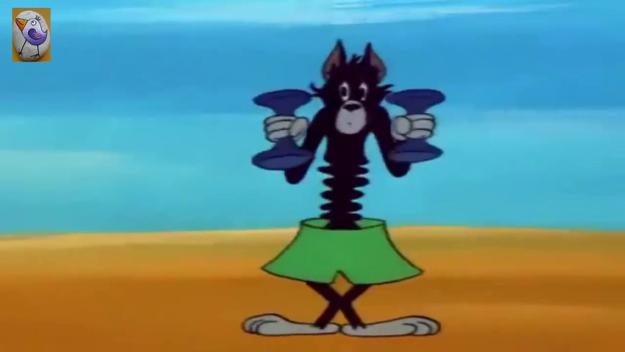 tom and jerry Gym
