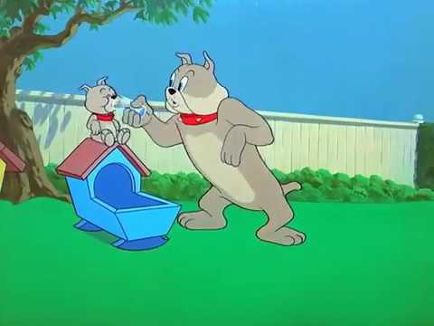 Tom and Jerry Hic cup Pup 1954