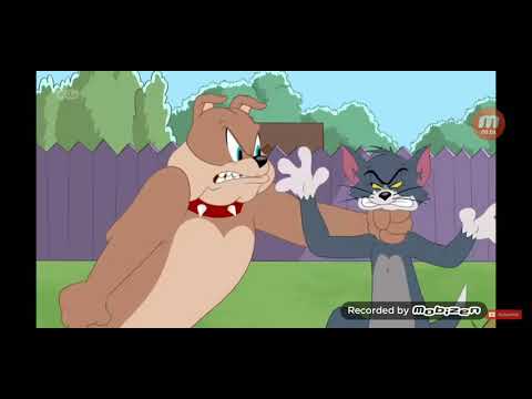 Tom and jerry show fight cloud