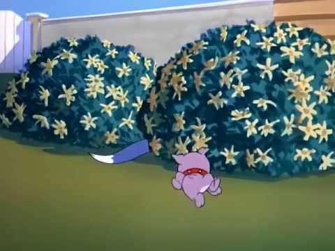 Tom and Jerry That's My Pup! 1953