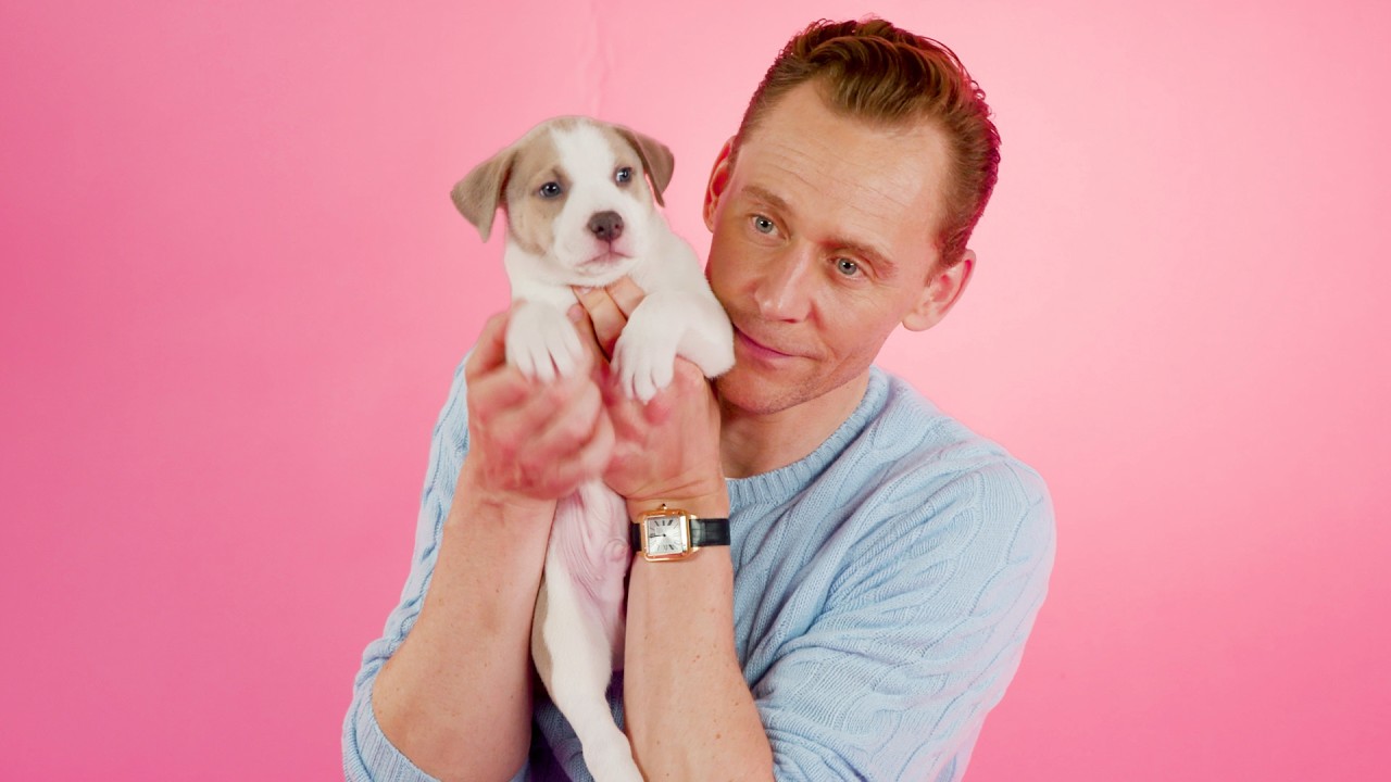 Tom Hiddleston: The Puppy Interview