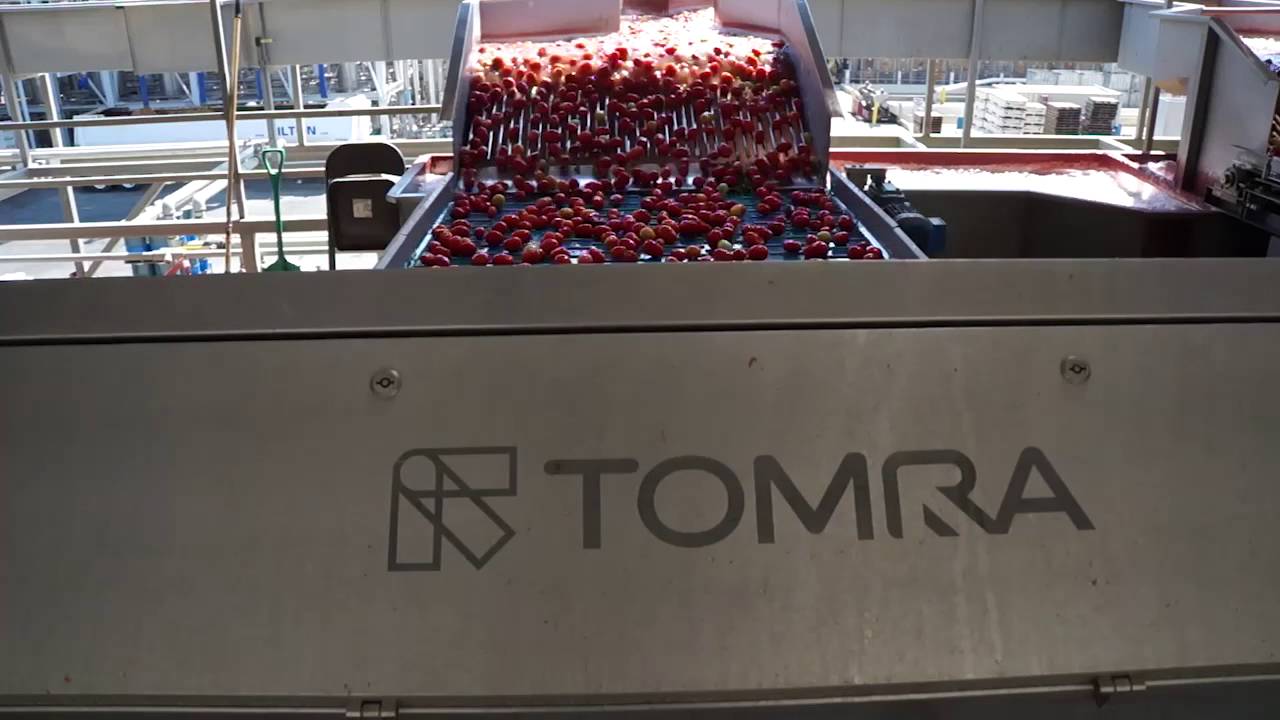 Tomato sorting machine Sentinel II - TOMRA Sorting