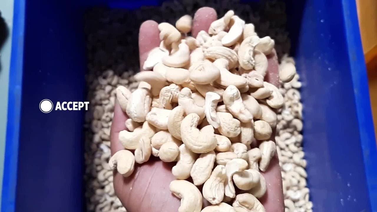 TOMRA 3C - Cashews Sorting