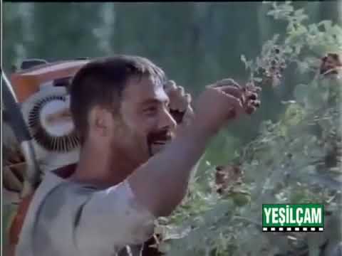 Tomruk - Kadir İnanır & Serpil Çakmaklı