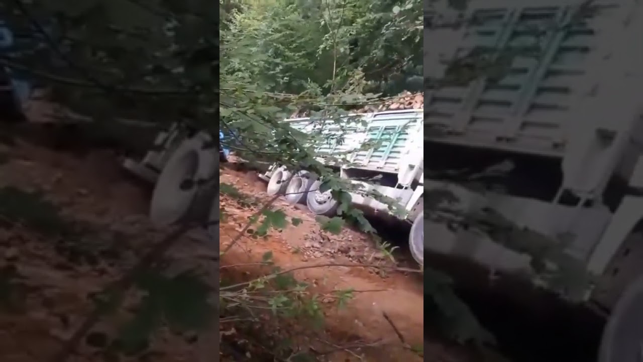 Tomruk yükü ile devrilen axor