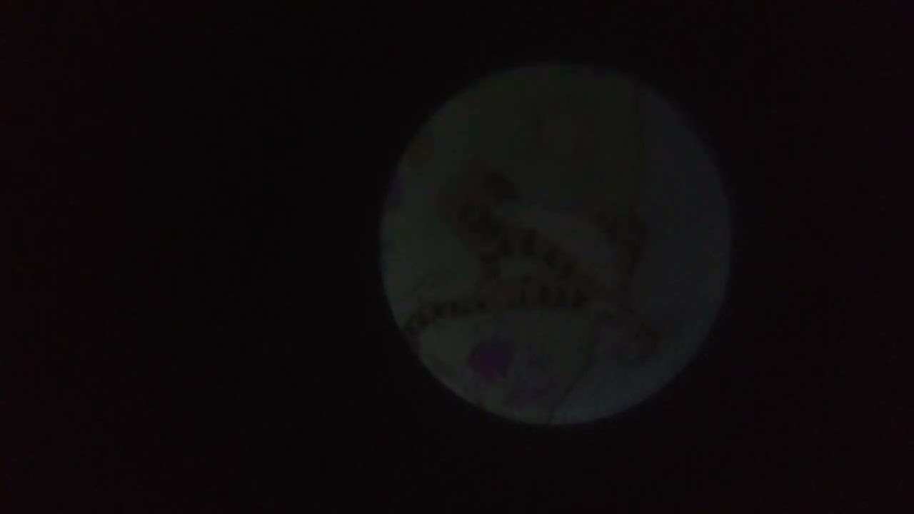 tomy Winnie the Pooh sweet dreams lightshow part 2 without auto setting nighttime