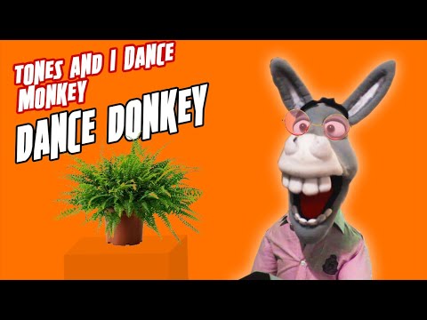 Tones And I - Dance Monkey / Türkçe Cover / Dance Donkey - #EvdeKal
