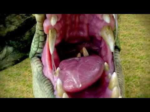 tongue rope vore 4