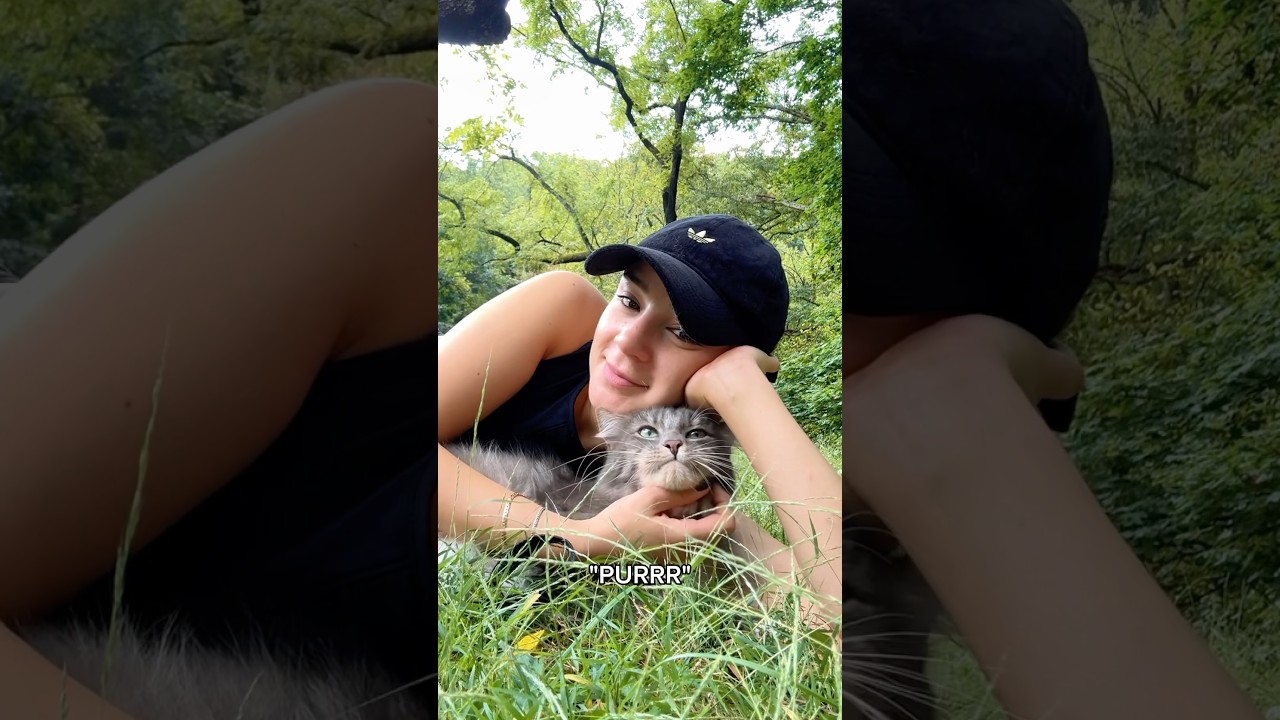 Took our cuddle sesh outside 🐱🌳💖#viral