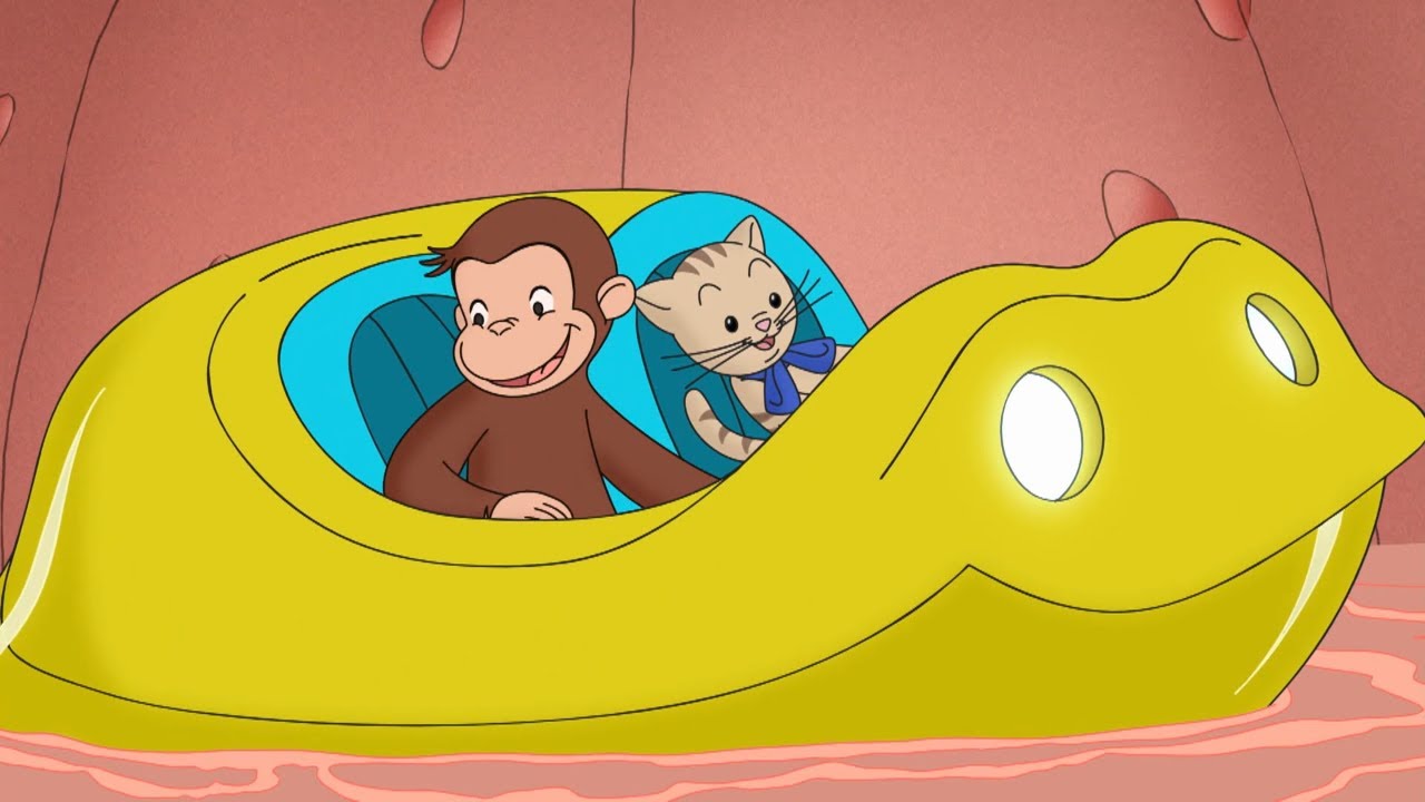 Toot Toot Tootsie Goodbye | Curious George | Cartoons for Kids | WildBrain Little Jobs