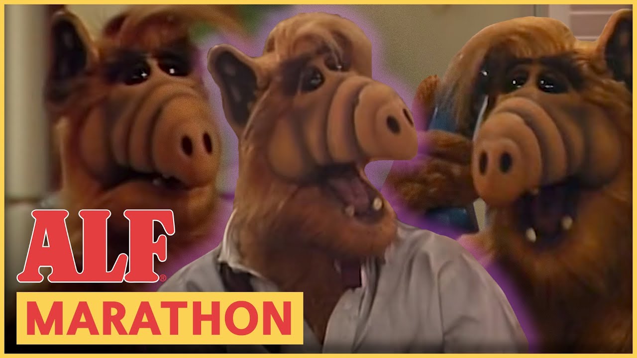 Top 10 IMDB Episodes | ALF | FULL Episode Marathon