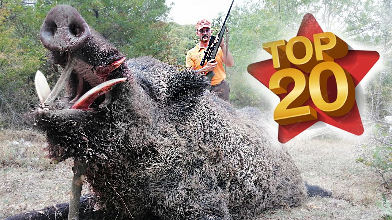 TOP 20 INCREDIBLE WILDBOAR HUNTS- DESTRUCTIVE Blow- PERFECT SCENES- HOG HUNTS- PIG HUNTER