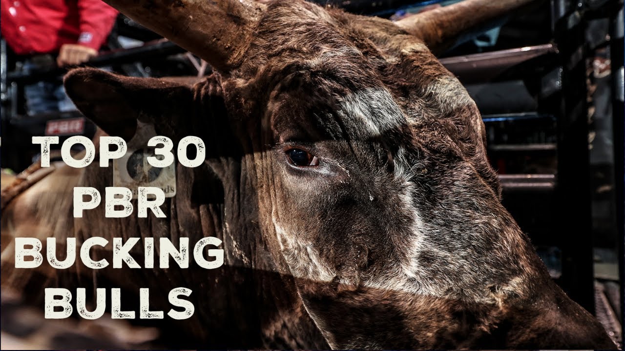 Top 30 PBR Bucking Bulls | ALL EPISODES