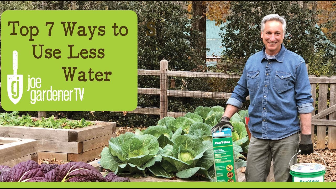 Top 7 Ways to Use Less Water