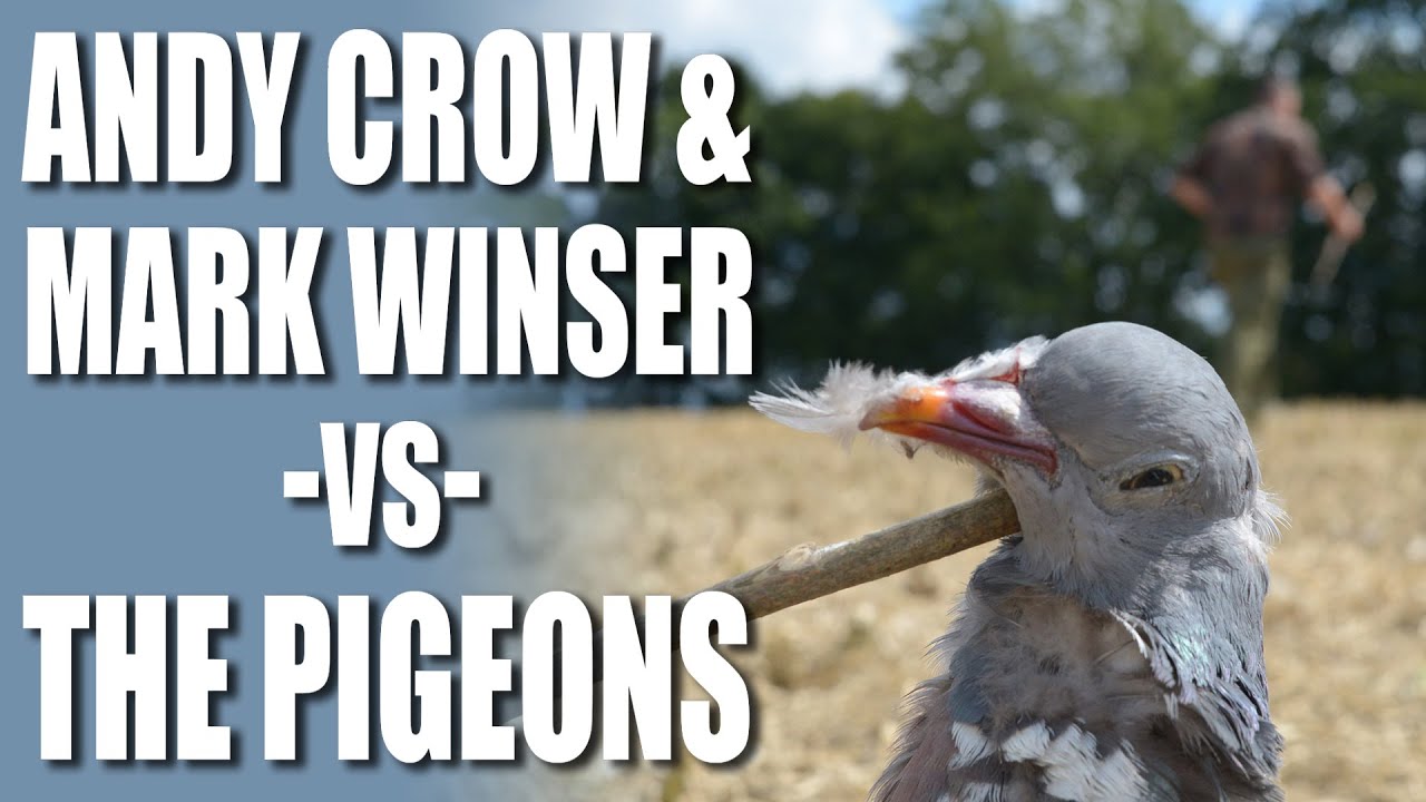 Top shots Andy Crow & Mark Winser versus the Pigeons