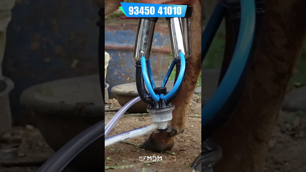 Top-Quality Electric Milking Machine for Cows, Buffalo🐄