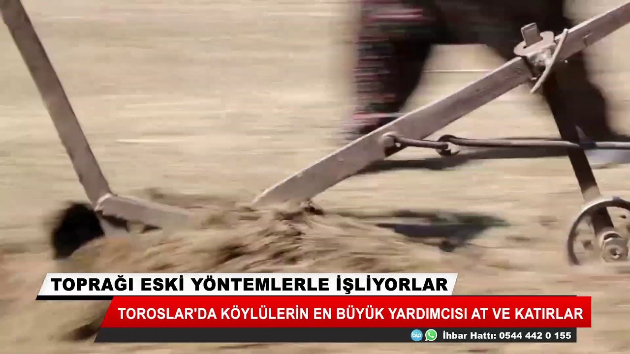 Toprağı eski yöntemlerle işliyorlar