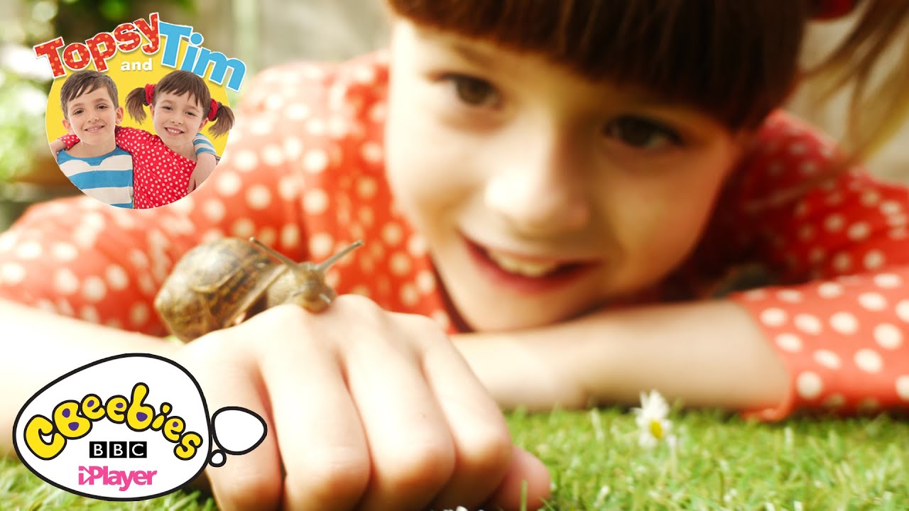 Topsy and Tim | Theme Tune | CBeebies