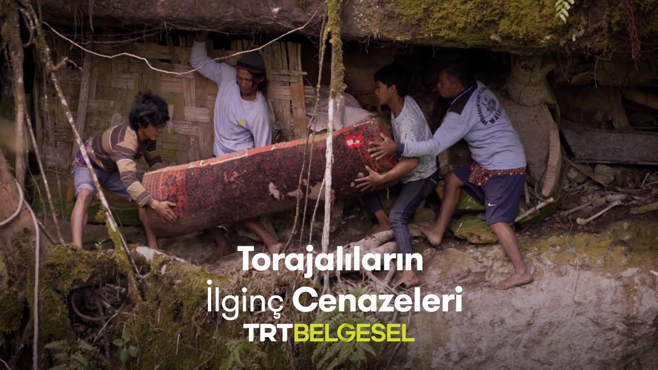Torajalıların İlginç Cenazeleri | Ailenin Yeni Üyesi | TRT Belgesel