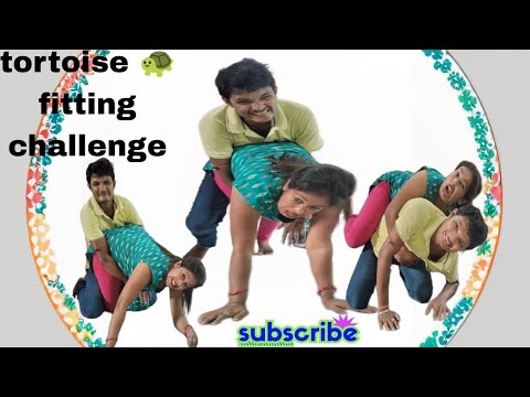 Tortoise 🐢 🐢 Fighting Challenge video ll Funny video ll husband and wife