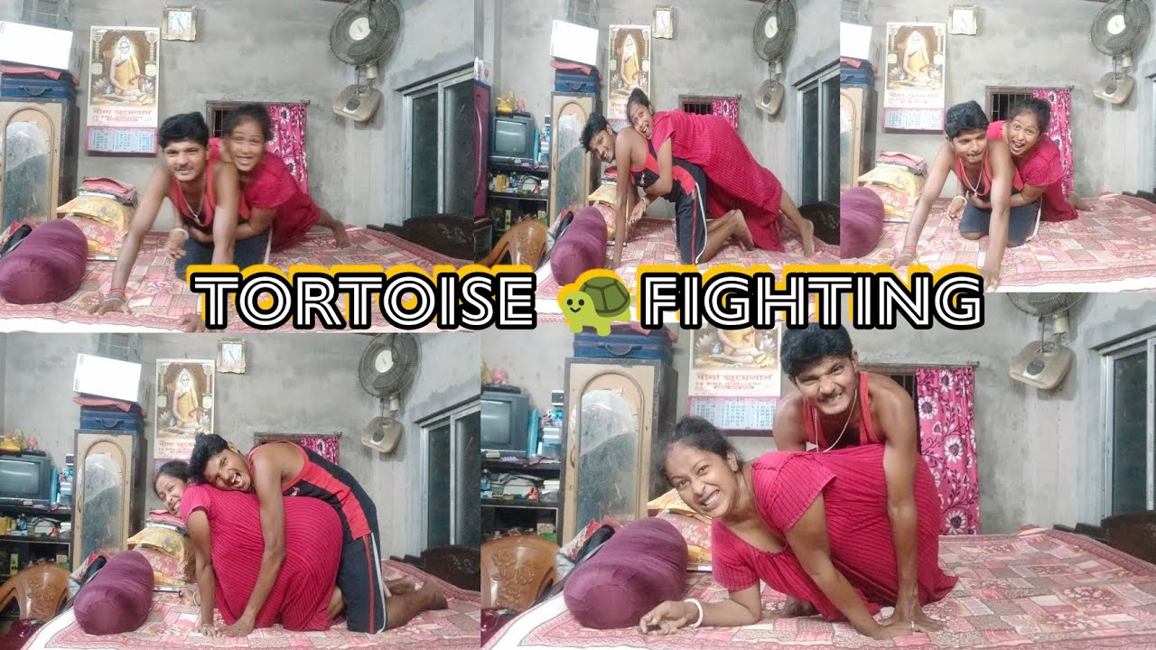 Tortoise🐢 fighting challenge video //funny video//husband vs wife