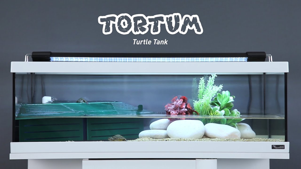 TORTUM
