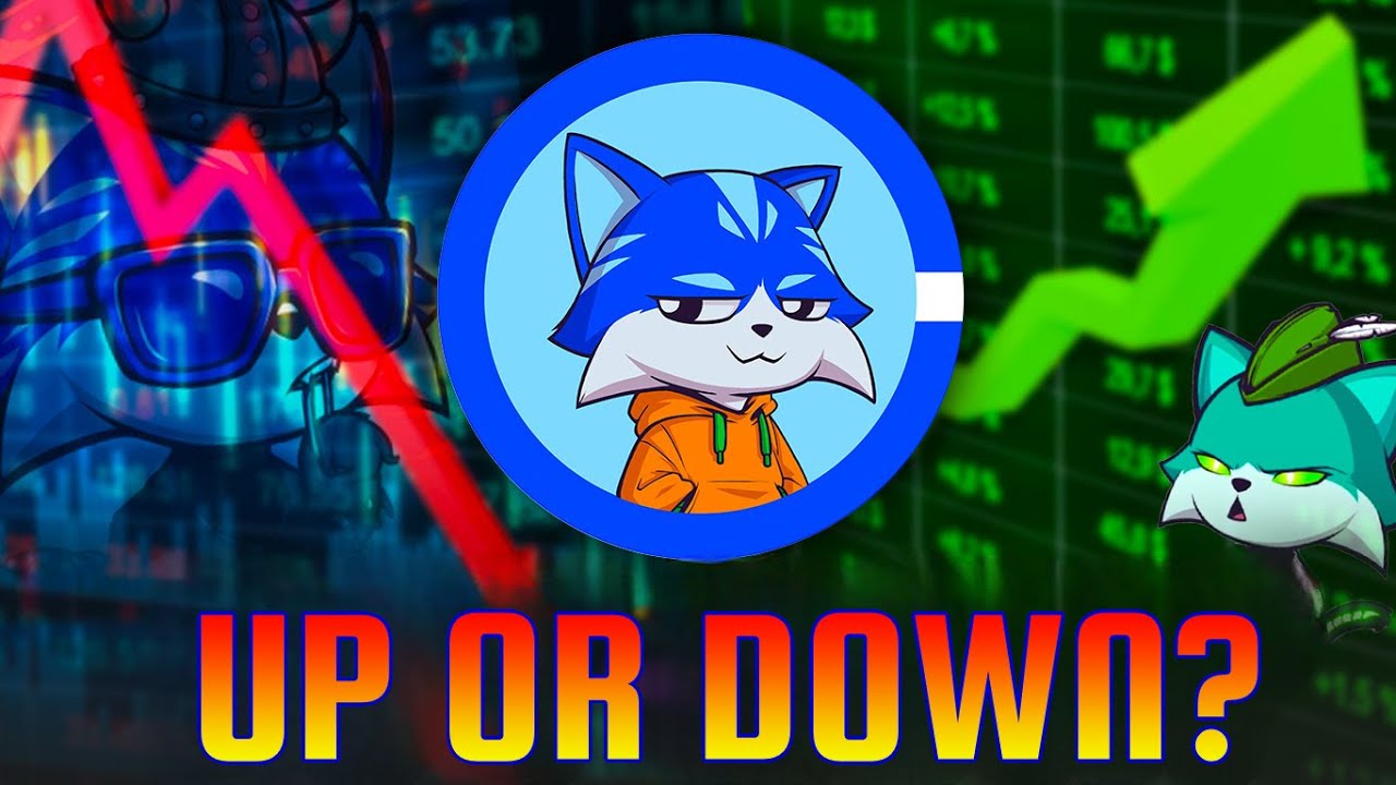 $TOSHI: Where Does it Go From Here??