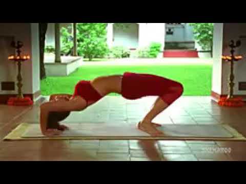 Total Body Yoga   40 Mins Full Body Yoga Asanas   Shilpa's Yoga   YouTube