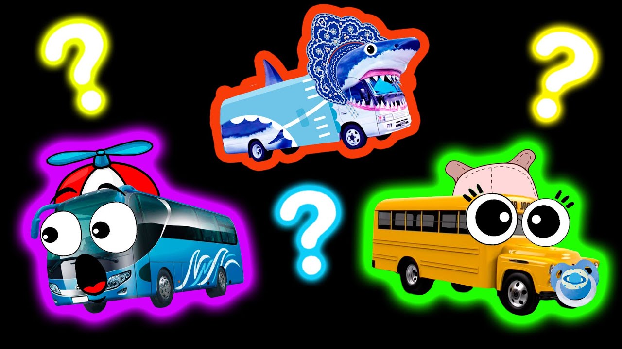 Tourist Bus, School Bus and Shark Bus 