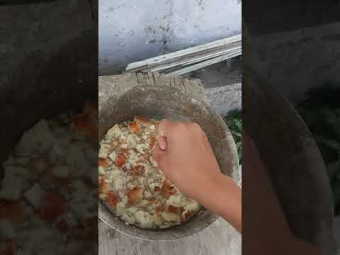 tovuqni 100% kurk qilish yoli