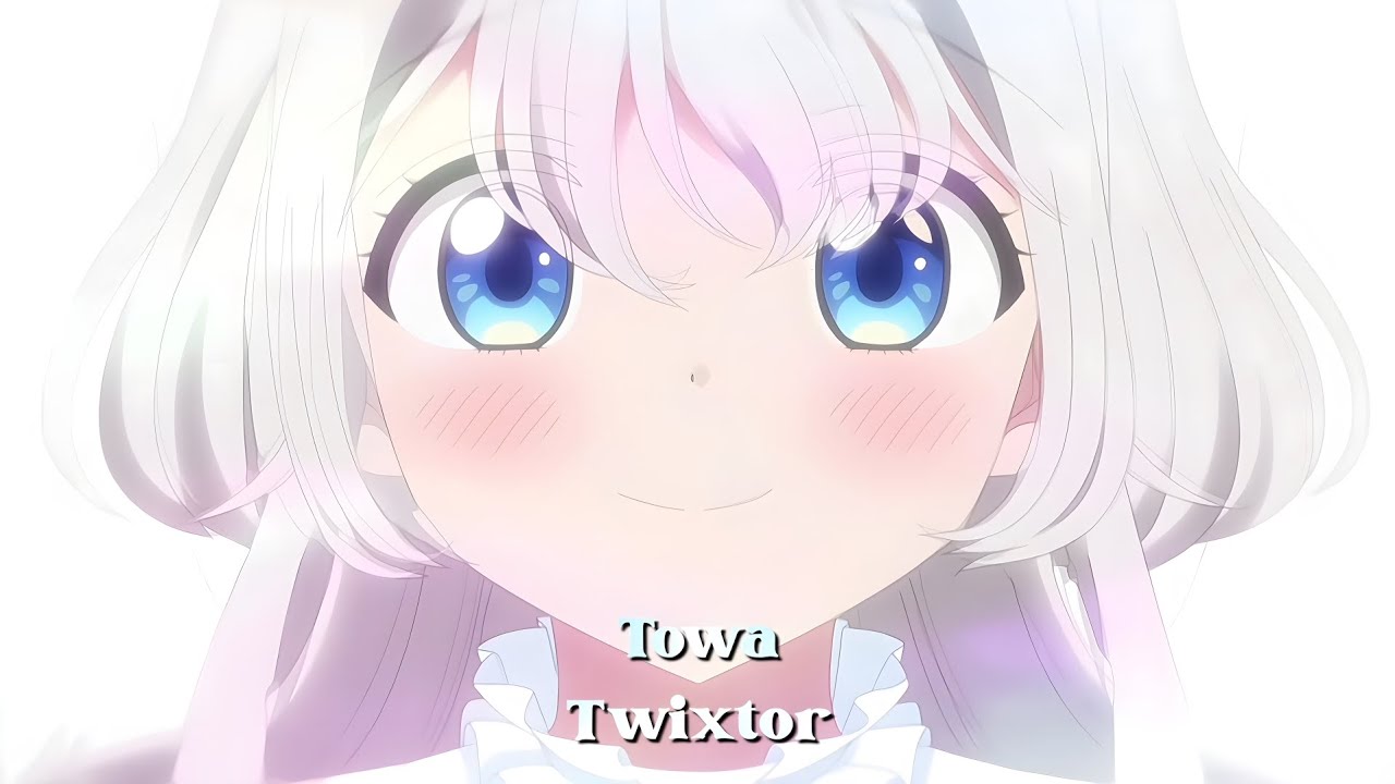 Towa Twixtor