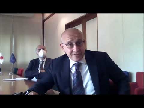 Towards climate neutrality within 2050: Italy-Japan approaches to electrochemical energy storage
