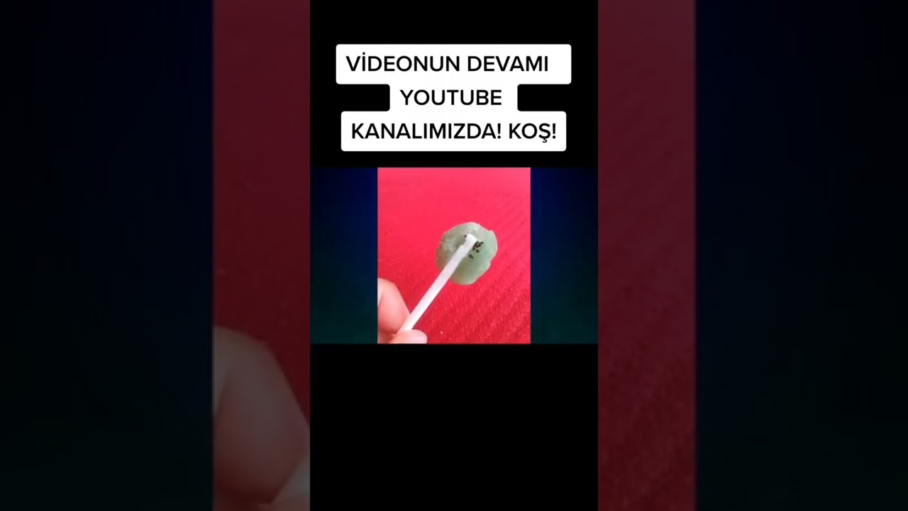 TOYBOX YASAKLANIYOR MU😱 Yasaklanmış Şekerler! Bilgi Camiası 😰