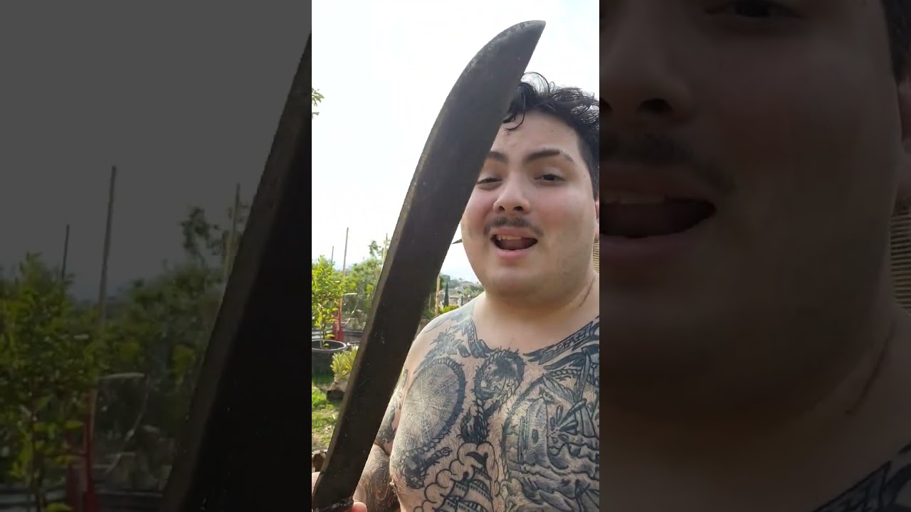 Tramontina Machete, The Best. #machete #knives #survival #camping #bushcraft