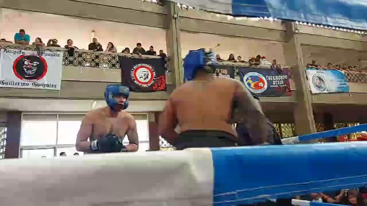 Transmisión en directo de PamGym