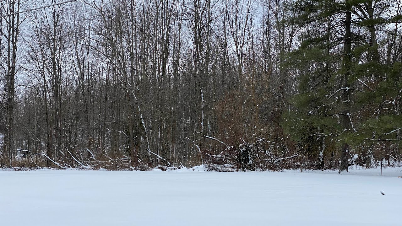 Trapping Coyotes 2024-2025Trapping season Ep.2 Throwing and Marking  sets before winter storm Blair.