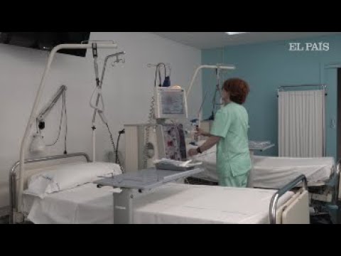 Trasplantes renales sin transfusiones de sangre para testigos de Jehová