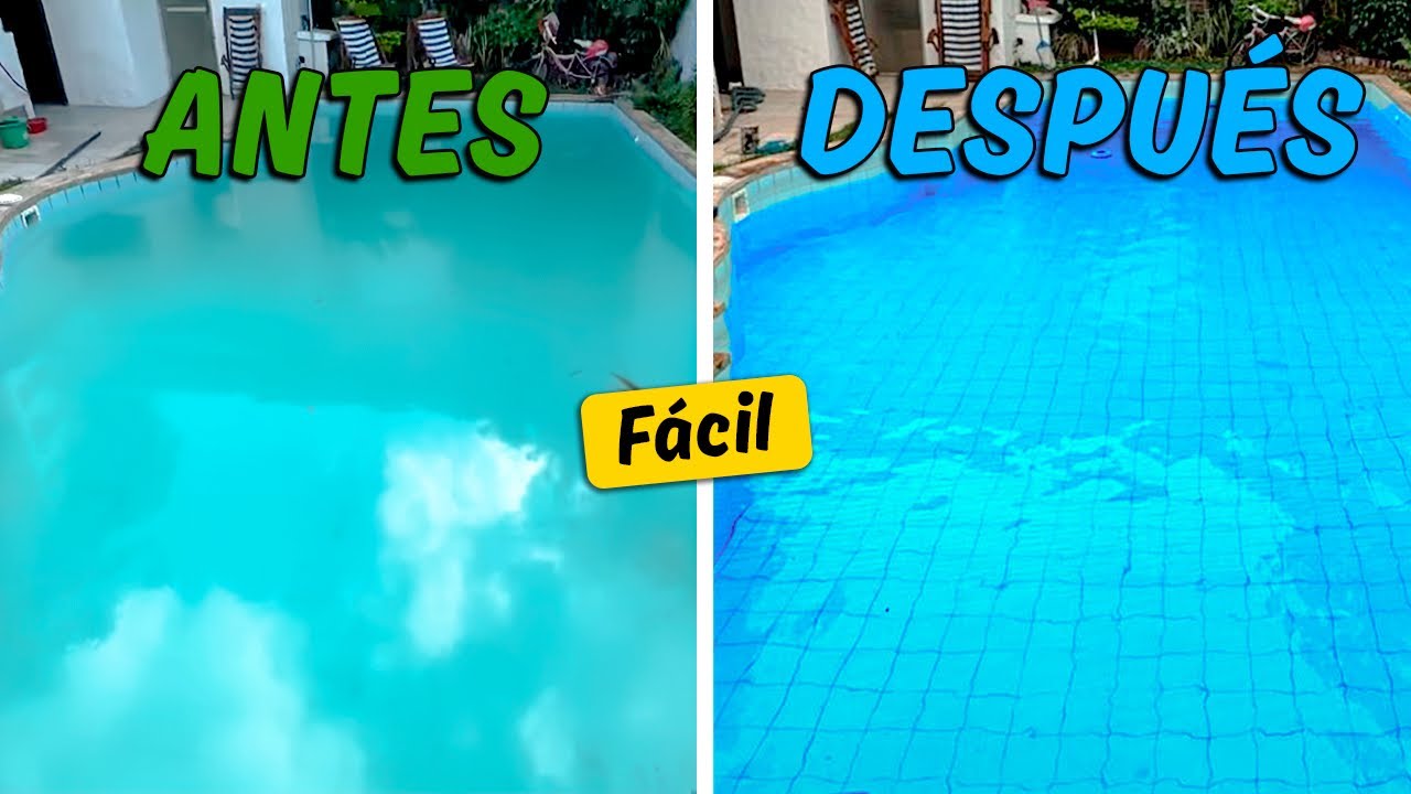 Tratamiento garantizado para el agua Turbia en la piscina 2024