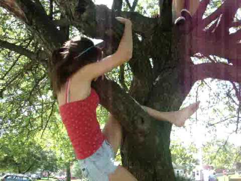 Tree Climbing!!! We're monkeys haha