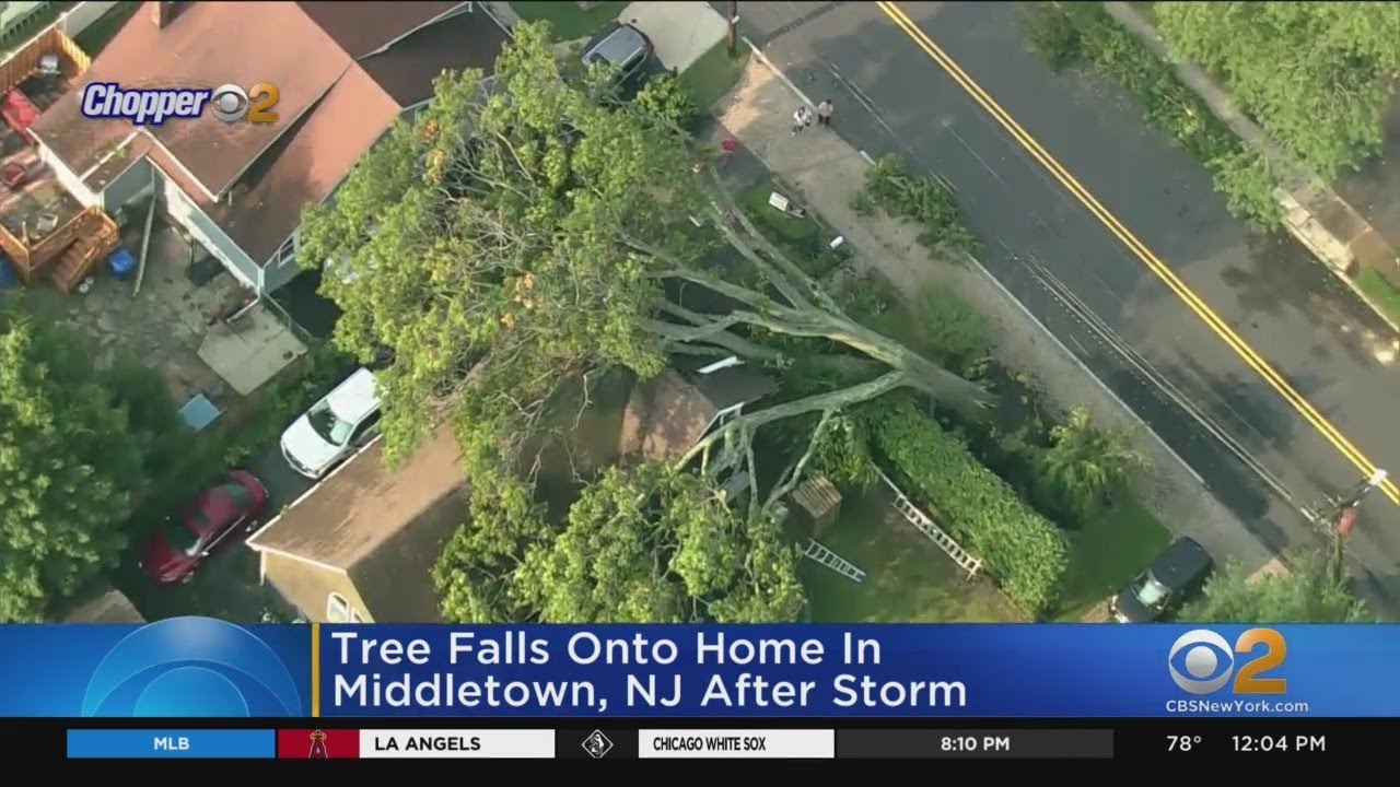Tree Falls Onto Home In Middletown, N.J.