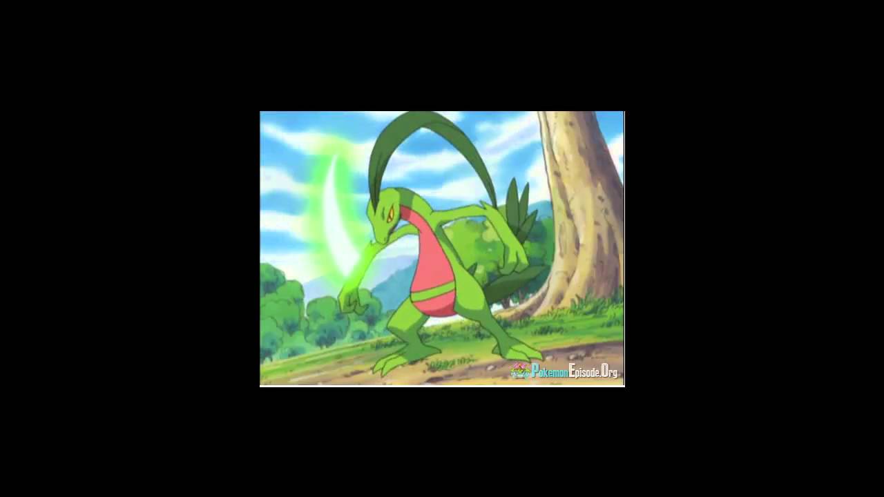 Treeko Evolves into Grovyle