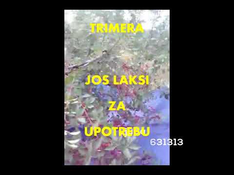 Tresac za voce