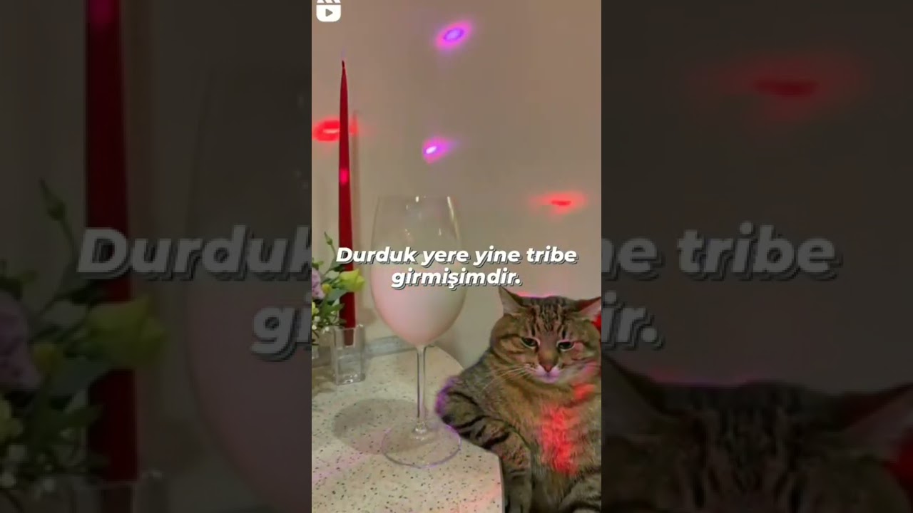 tribe girmişimdir;