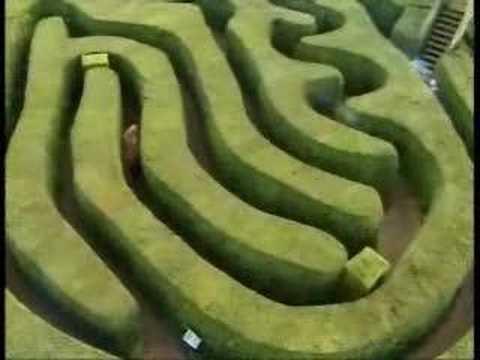 Trigger Happy TV hedge maze